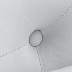 Chaise Longue da Interno, Poltrona Relax in Velluto per Camera da Letto con Contenitore e Cuscino, Moderna Chaise Longue Imbottita con Braccioli Arrotondati